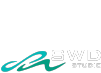 Saltwater Studio logo featuring a seagull and ocean waves